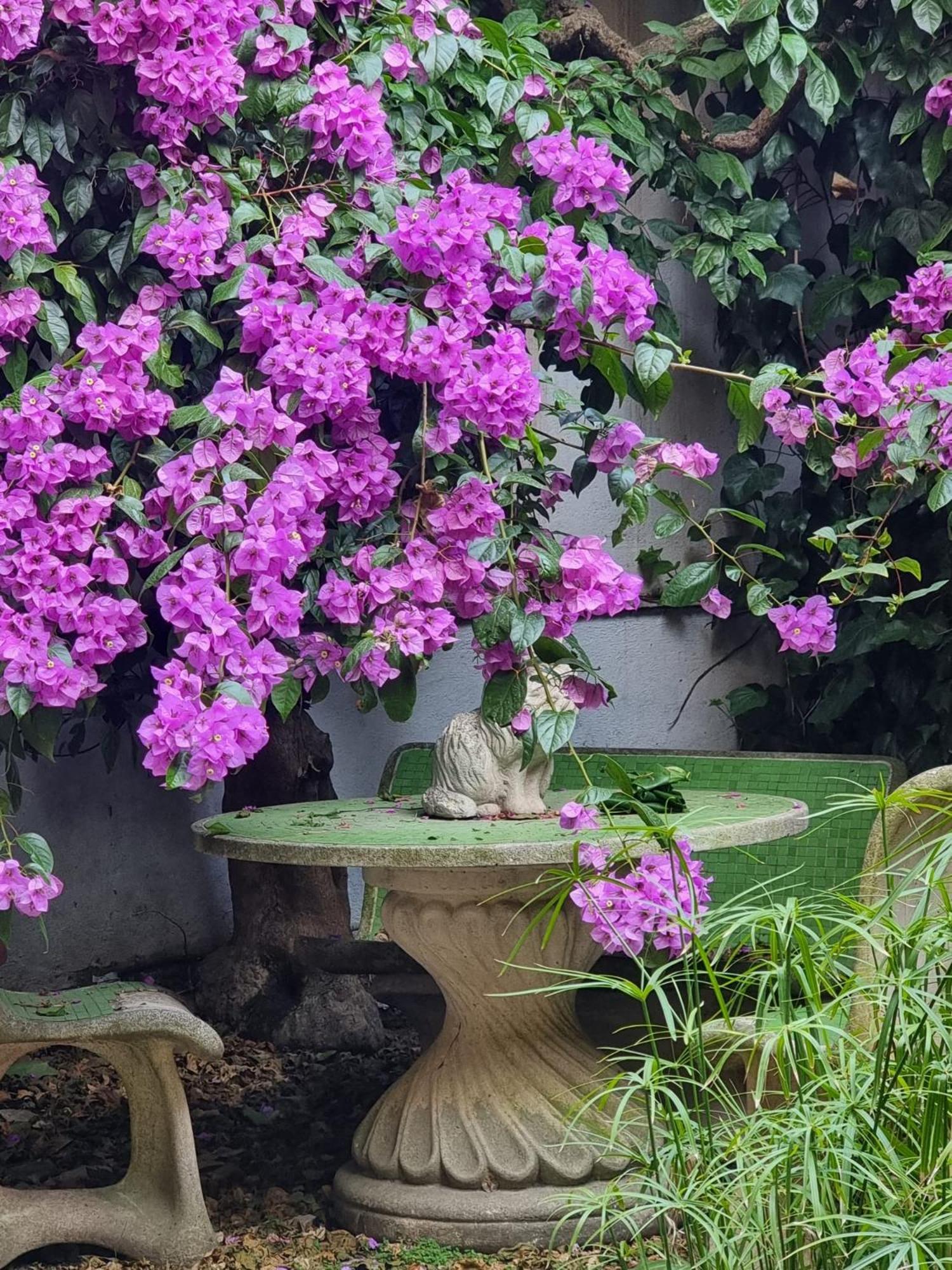 Vatican Fairytale Garden Rome Buitenkant foto